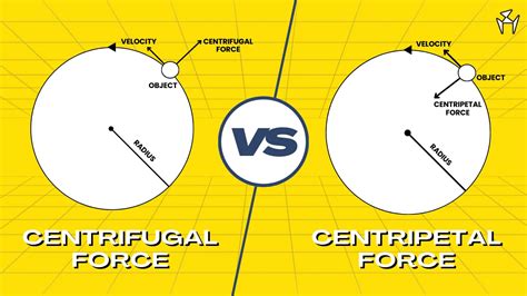 centrifugal pump theory pdf|centripetal pump vs centrifugal.